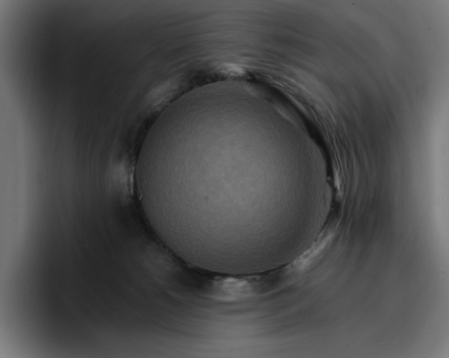 X0000096700180200802191455