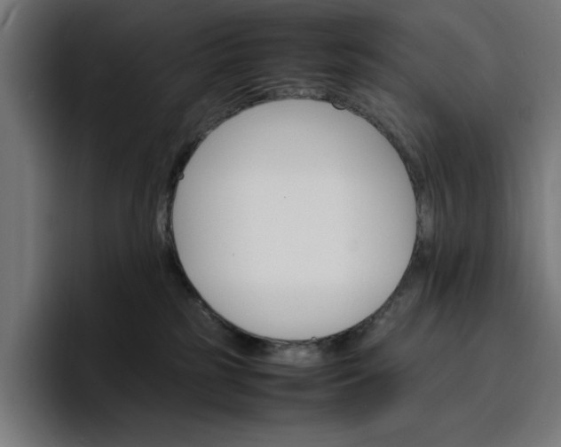X0000096700185200802191455