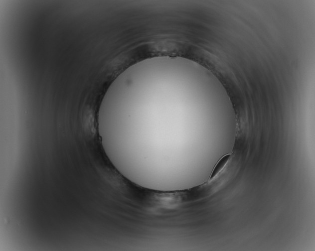 X0000096700187200802191455