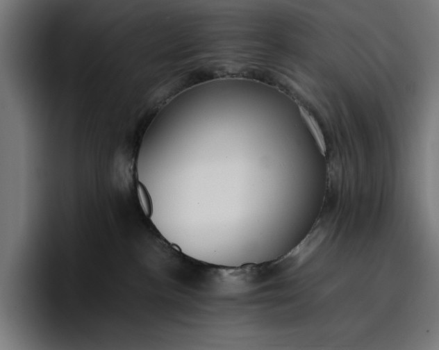 X0000096700188200802191455
