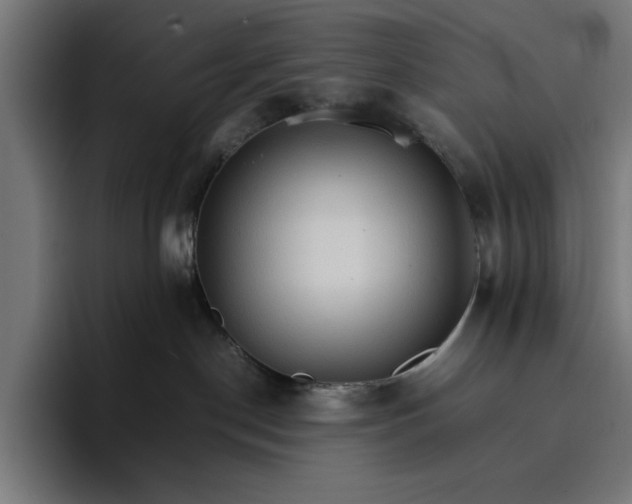 X0000096700190200802191455