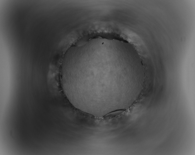 X0000096700192200802191455
