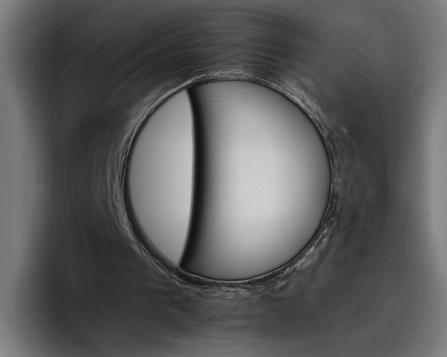X0000096700193200802191455
