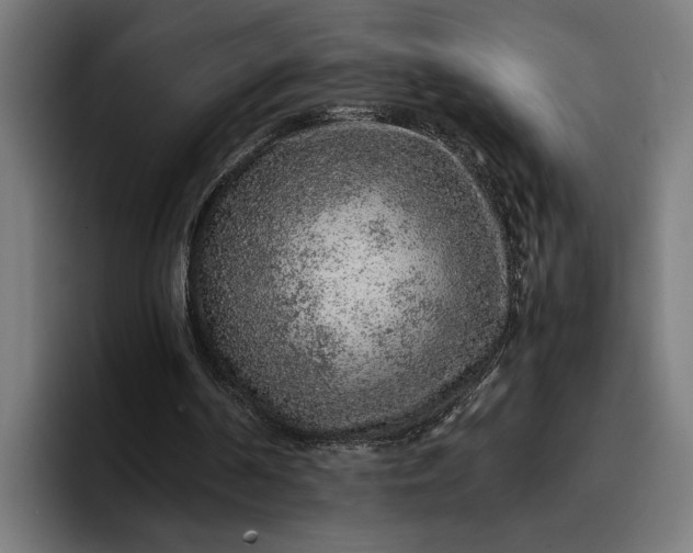 X0000096700194200802191455