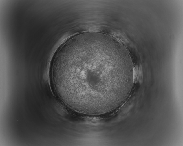 X0000096700195200802191455