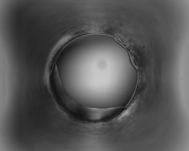 X0000096700197200802191455