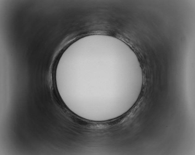 X0000096700198200802191455