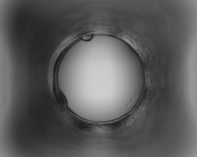 X0000096700199200802191455