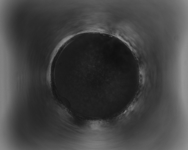 X0000096700200200802191455