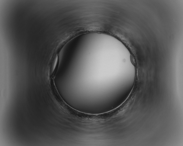 X0000096700201200802191455