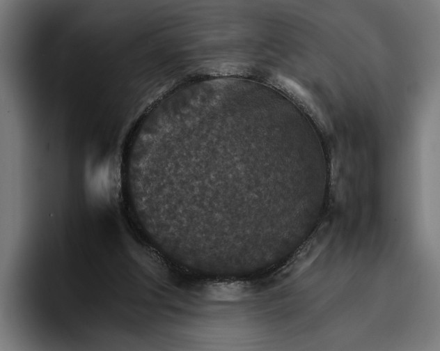 X0000096700202200802191455