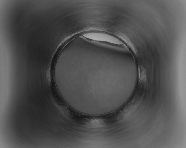 X0000096700204200802191455