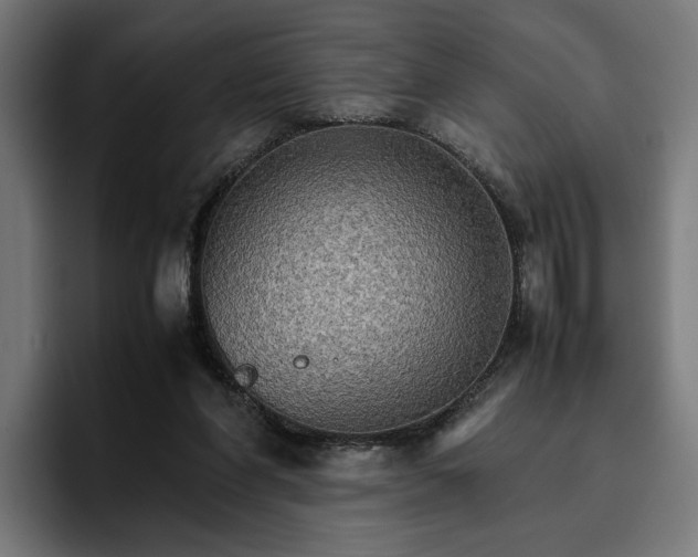 X0000096700206200802191455
