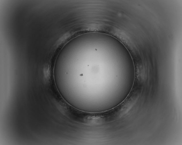 X0000096700208200802191455