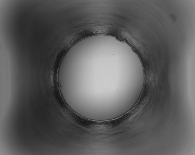 X0000096700209200802191455