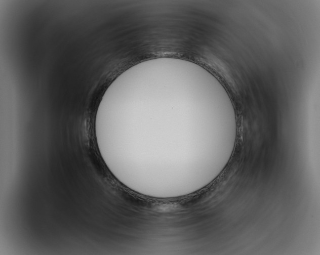 X0000096700210200802191455