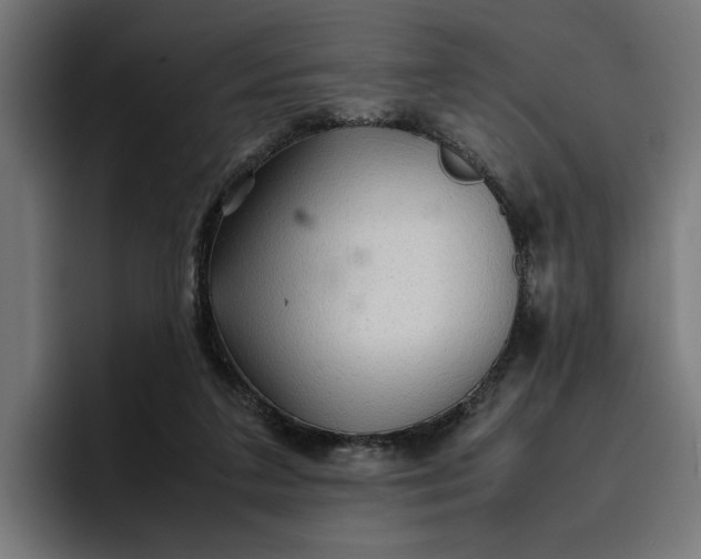 X0000096700211200802191455