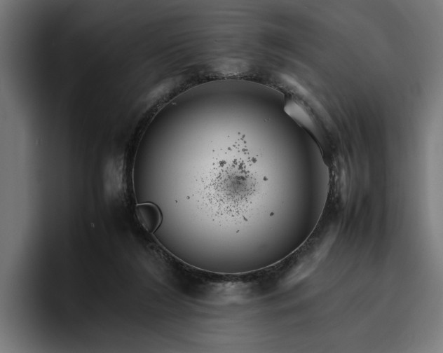 X0000096700212200802191455