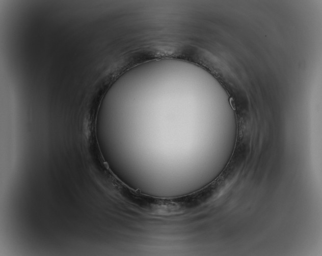 X0000096700215200802191455
