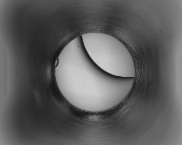 X0000096700216200802191455