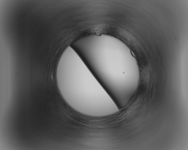 X0000096700217200802191455