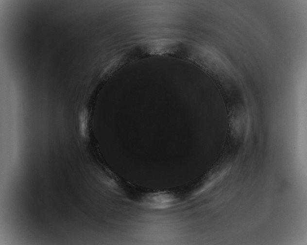 X0000096700219200802191455