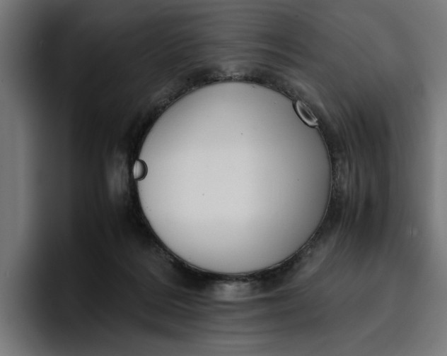 X0000096700220200802191455