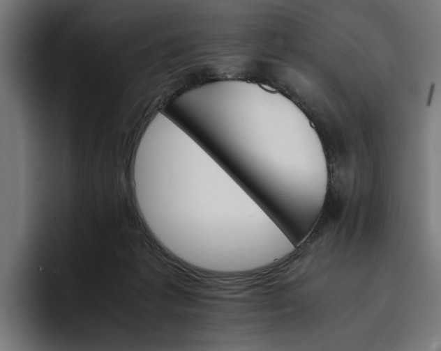X0000096700221200802191455