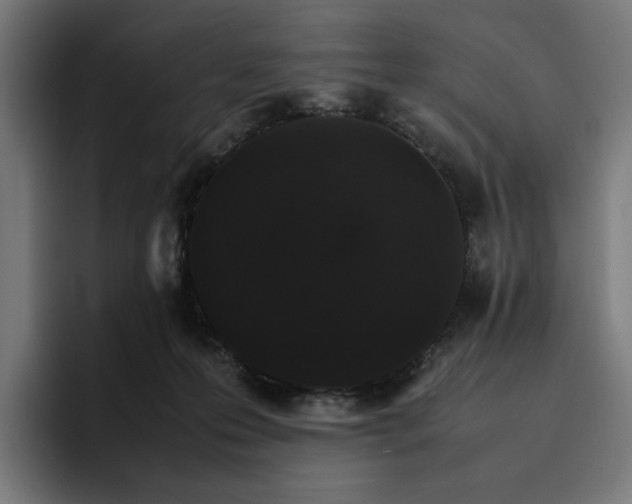 X0000096700223200802191454