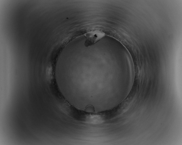 X0000096700224200802191454