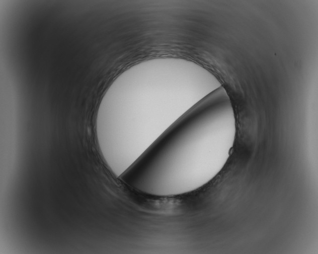 X0000096700225200802191454