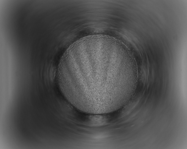 X0000096700230200802191454