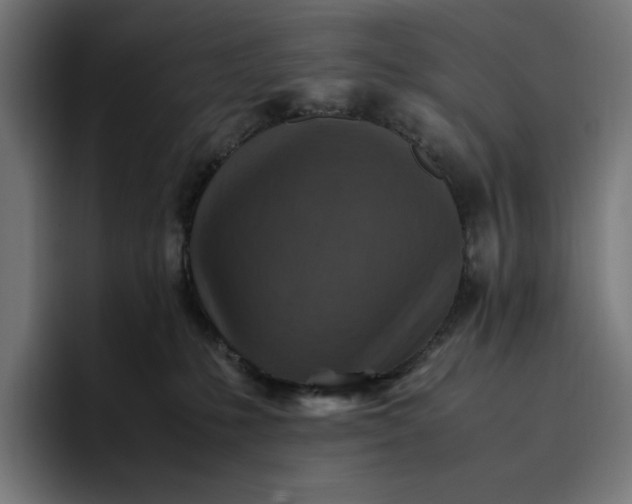 X0000096700231200802191454