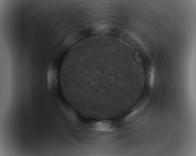 X0000096700232200802191454