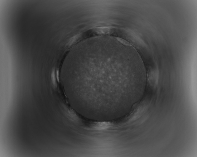X0000096700233200802191454