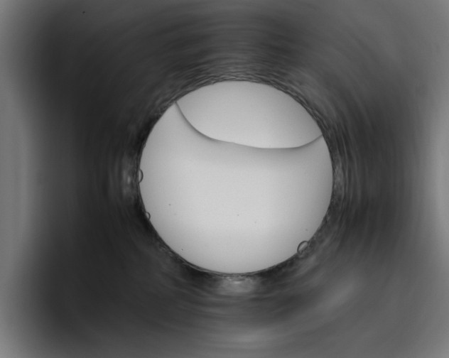 X0000096700234200802191454
