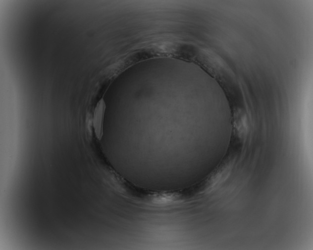 X0000096700235200802191454