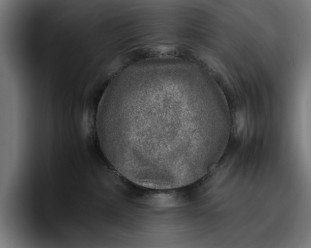 X0000096700236200802191454