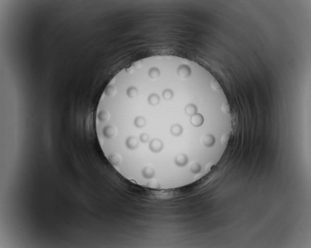 X0000096700238200802191454