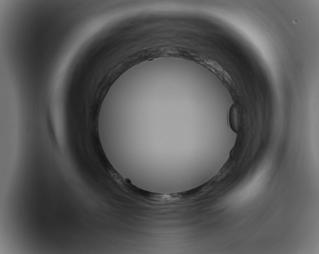 X0000096700239200802191454