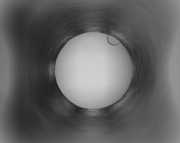 X0000096700240200802191454