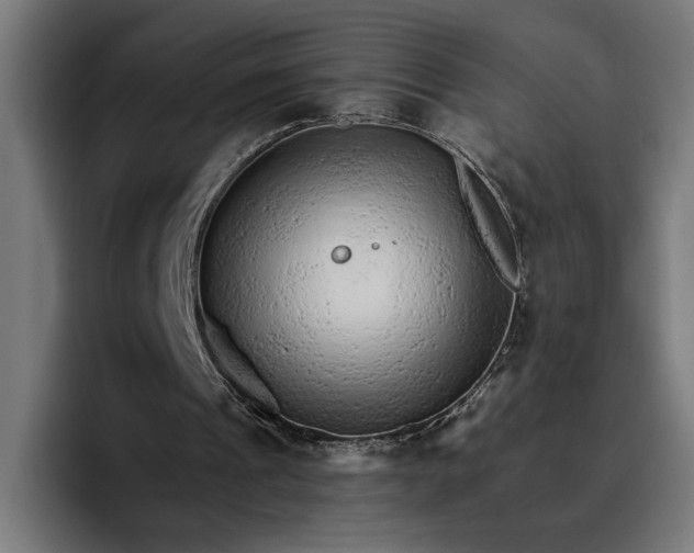 X0000096700241200802191454