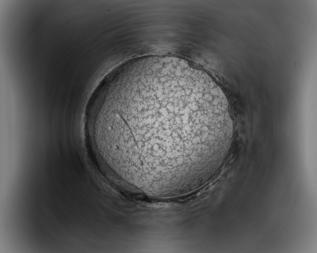 X0000096700242200802191454