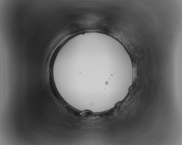 X0000096700243200802191454