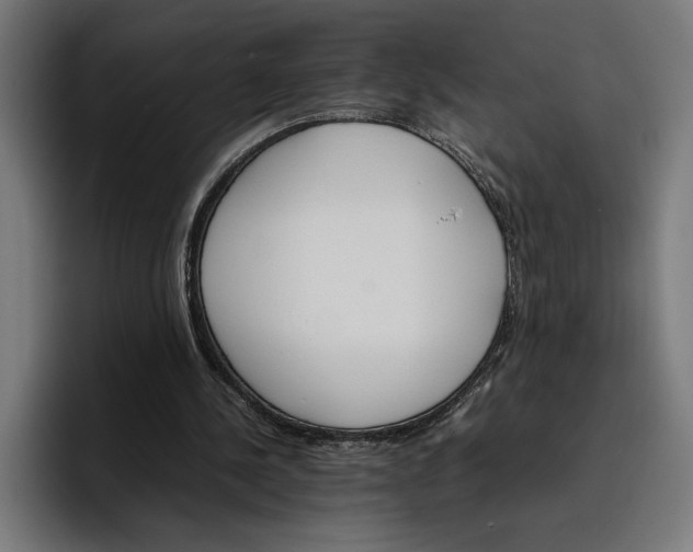 X0000096700244200802191454