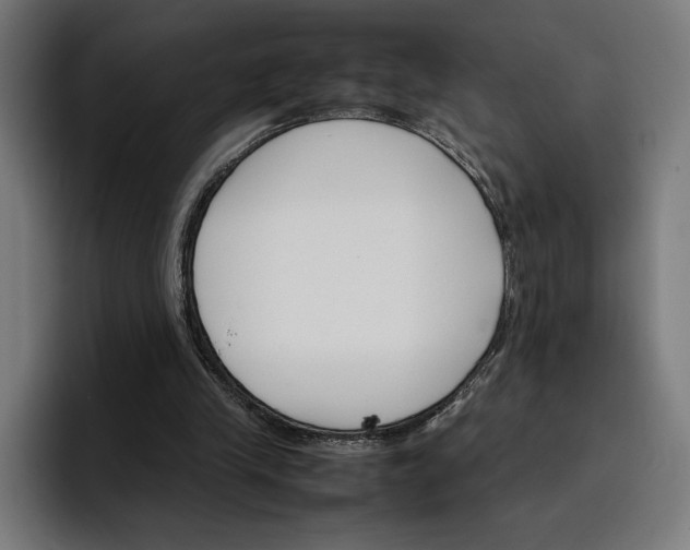 X0000096700245200802191454
