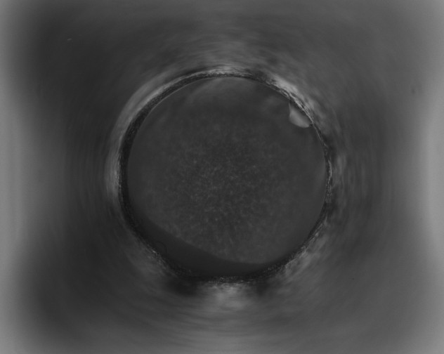 X0000096700247200802191454