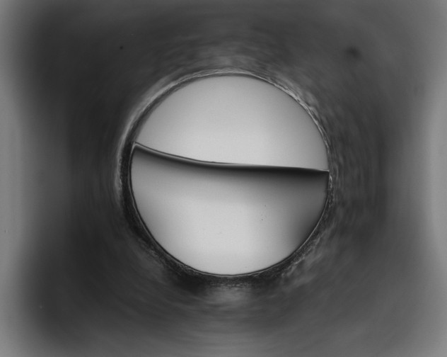X0000096700248200802191454