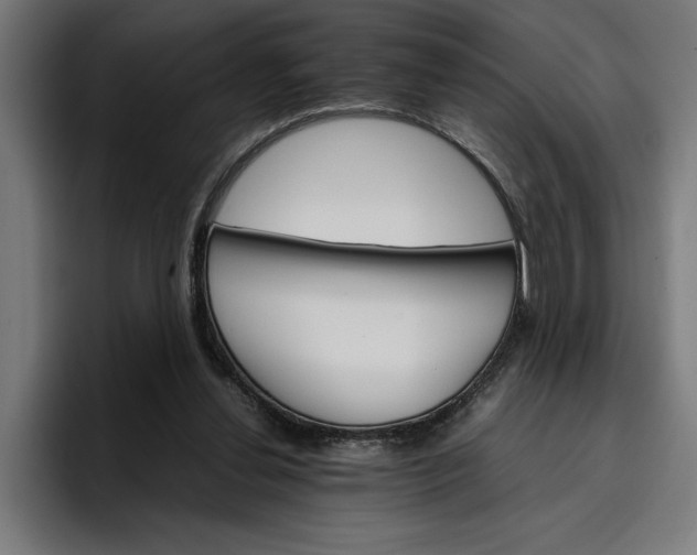X0000096700252200802191454