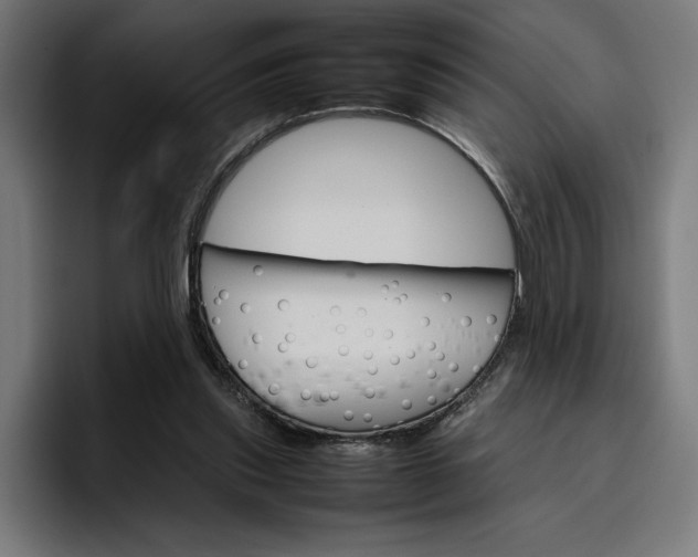 X0000096700253200802191454